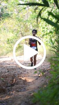 BIB:  <button type="button" onclick="openModal(27612394)" class="btn btn-primary btn-sm float-right" data-toggle="modal" data-target=".modal-high-quality">
                <i class="fa fa-download"></i> Download
                </button>